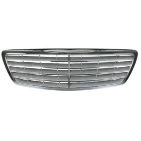 Kühlergrill 6502-07-3517992P