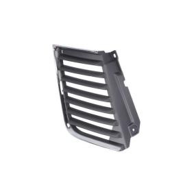 Kühlergrill 6502-07-3783992P