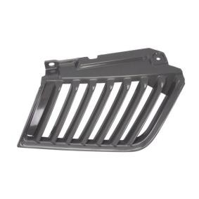 Kühlergrill 6502-07-3783994P