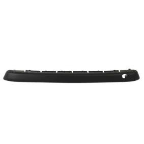 Acquista Modanatura paraurti da BLIC 6502-07-5508920P a buon mercato per soli 19,05 €