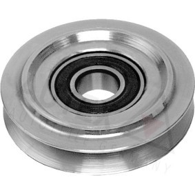 Umlenk- / Führungsrolle, Keilriemen 651038