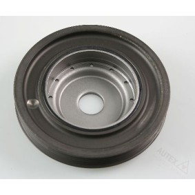 Riemenscheibe, Kurbelwelle 658064 für RENAULT