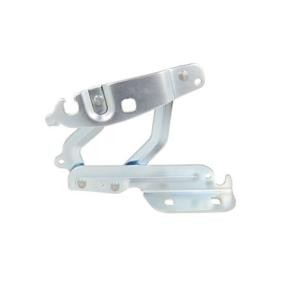 Scharnier, Motorhaube 6802-00-2565452P
