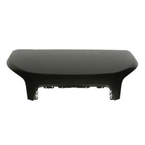 Motorhaube 6803-00-1270280P