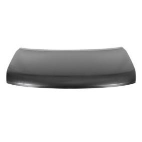 Motorhaube 6803-00-1690280P