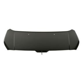 Motorhaube 6803-00-2508280P
