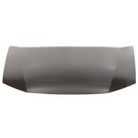 Motorhaube 6803-00-2999280P