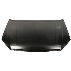 Motorhaube 6803-00-3053282P