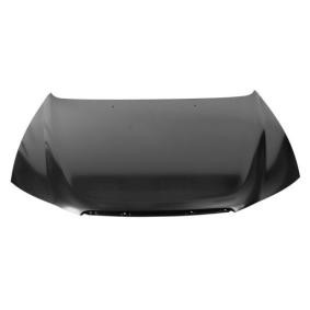 Motorhaube 6803-00-3169280P