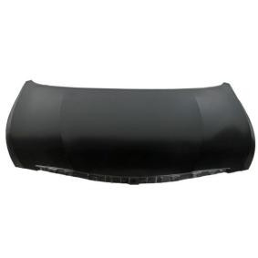Motorhaube 6803-00-3170280P