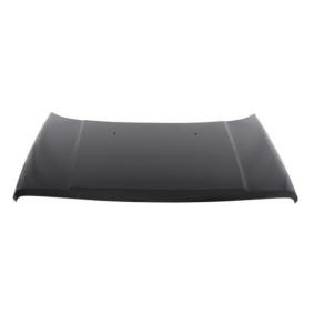 Motorhaube 6803-00-3213280P