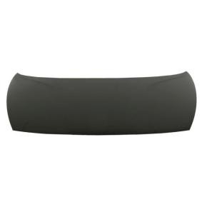 Motorhaube 6803-00-3279280P