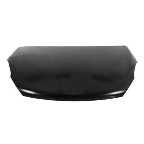Motorhaube 6803-00-5509281P