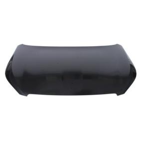 Motorhaube 6803-00-5519281P