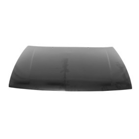Motorhaube 6803-00-6607280Q