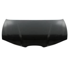 Motorhaube 6803-00-6609280Q