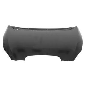 Motorhaube 6803-00-6612280Q