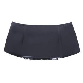 Achetez des Capot BLIC 6803-00-7514280Q à prix pour 212,10 €