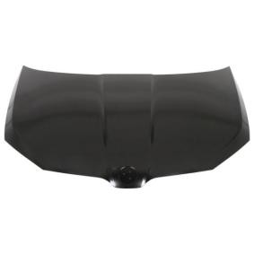 Motorhaube 6803-00-7517280P