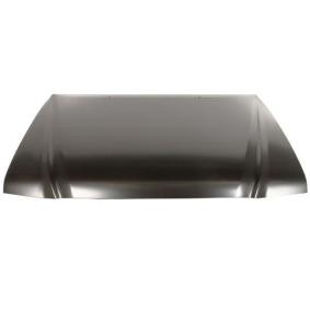 Motorhaube 6803-00-8125280P