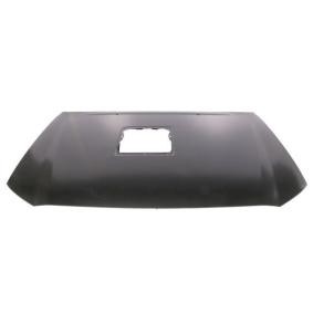 Motorhaube 6803-00-8172280P