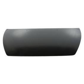 Motorhaube 6803-00-9009281P