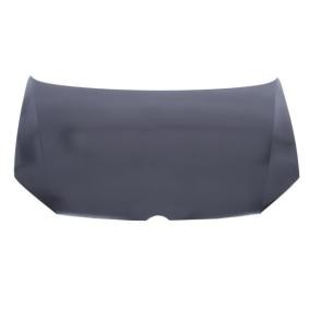 Motorhaube 6803-00-9507280Q