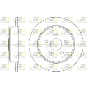 Bremsscheibe 6901.00