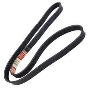 Compre Correia do alternador de MASTER-SPORT online para Scudo Camião de plataforma / Chassis (270_, 272_) a preços moderados