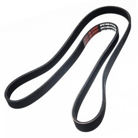 Keilrippenriemen von MASTER-SPORT für Senator Mk2 (B) (V88) günstig online kaufen