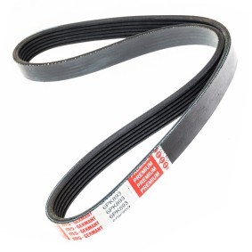 Acquista Cinghia servizi da MASTER-SPORT 6PK893-PCS-MS a buon mercato per soli 10,98 €
