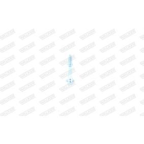 Schraube, Abgasanlage 83170