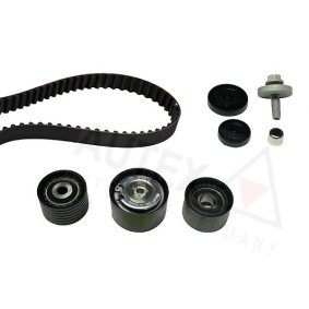 Achetez des Kit de distribution AUTEX 702189 à prix pour 136,64 €