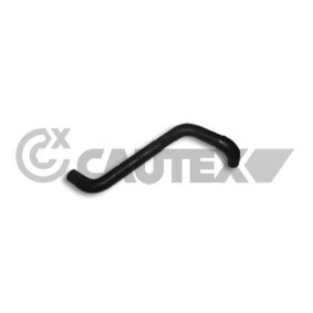 Kühlerschlauch für TOYOTA von CAUTEX