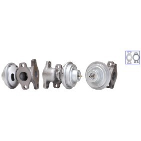 Comprar Válvula EGR de ELSTOCK 71-0250 a bajo precio de 150,85 €
