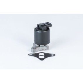 Acquista Valvola EGR da WAHLER 710961R a buon mercato per soli 139,55 €