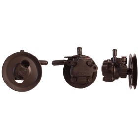 Achetez des Pompe de direction assistée DRI 715520327 à prix pour 221,54 €