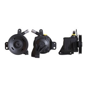 Servopumpe 715520529 für 159 (939) für 184,54 CHF