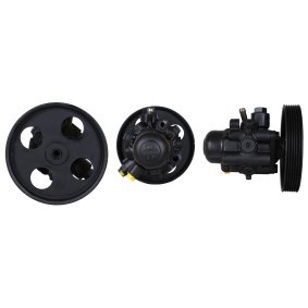 Acquista Pompa idraulica, sterzo da DRI 715520568 a buon mercato per soli 218,25 €
