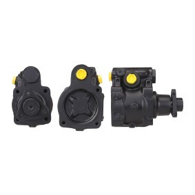 Achetez des Pompe de direction assistée DRI 715520671 à prix pour 197,23 €