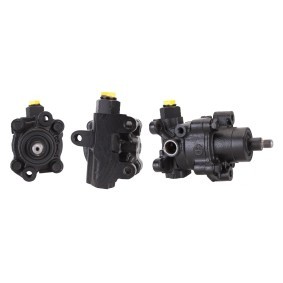Achetez des Pompe de direction assistée DRI 715520723 à prix pour 168,23 €
