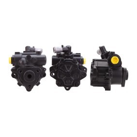 Acquista Pompa idraulica, sterzo da DRI 715521043 a buon mercato per soli 145,89 €