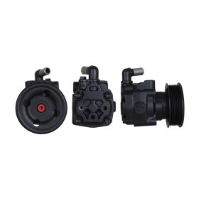 Servopumpe 715521506 von DRI günstig für 200,40 € online kaufen