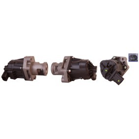 Acquista Valvola EGR da DRI 717720083 a buon mercato per soli 195,81 €