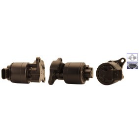 AGR-Ventil 717720103 für FIAT