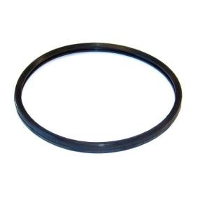 Dichtung, Thermostat 729.170