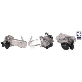Acquista Valvola EGR da ELSTOCK online per Proace Van / Station Wagon (MDX_) a prezzi moderati