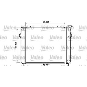 Achetez des Radiateur du moteur VALEO 731719 à prix pour 449,49 €