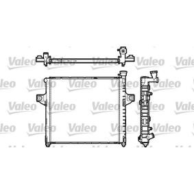 Achetez des Radiateur du moteur VALEO 732309 à prix pour 255,36 €