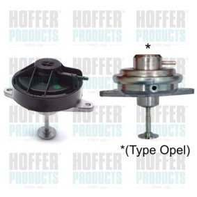 Acquista Valvola EGR da HOFFER 7518064 a buon mercato per soli 101,79 €